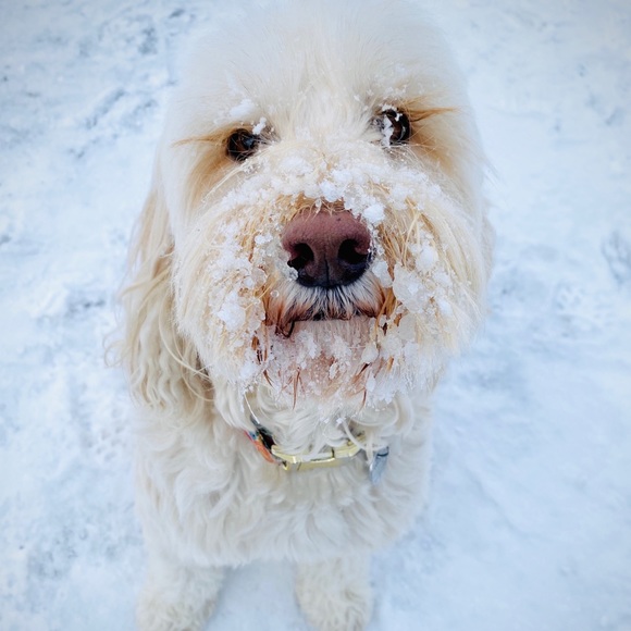 Meet your Posher, Stacie - Picture 1 of 1